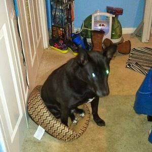 Meet your Posher, Sheri